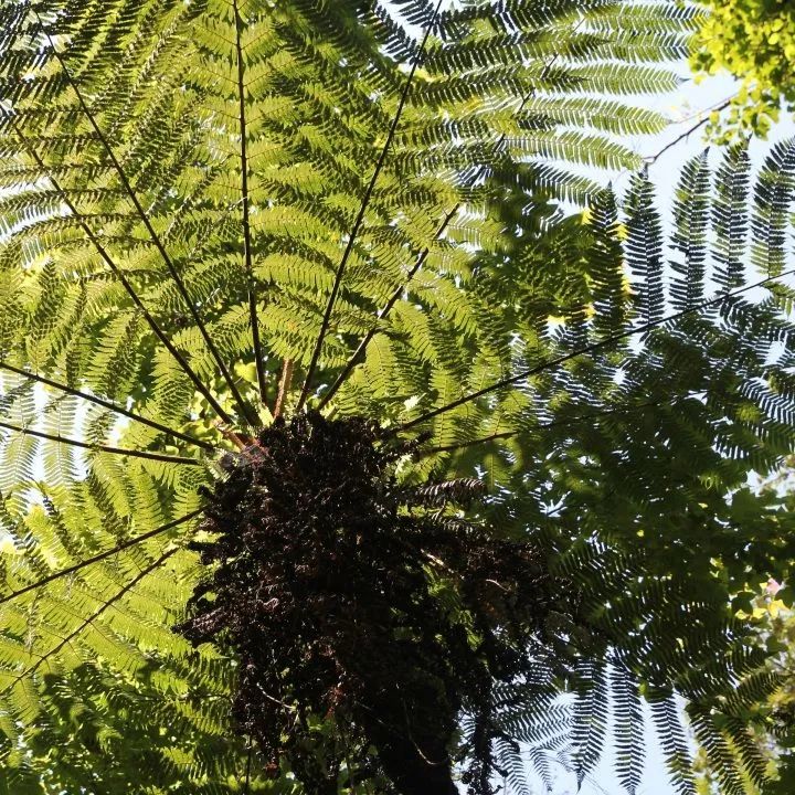 云南广播电视台(微信)