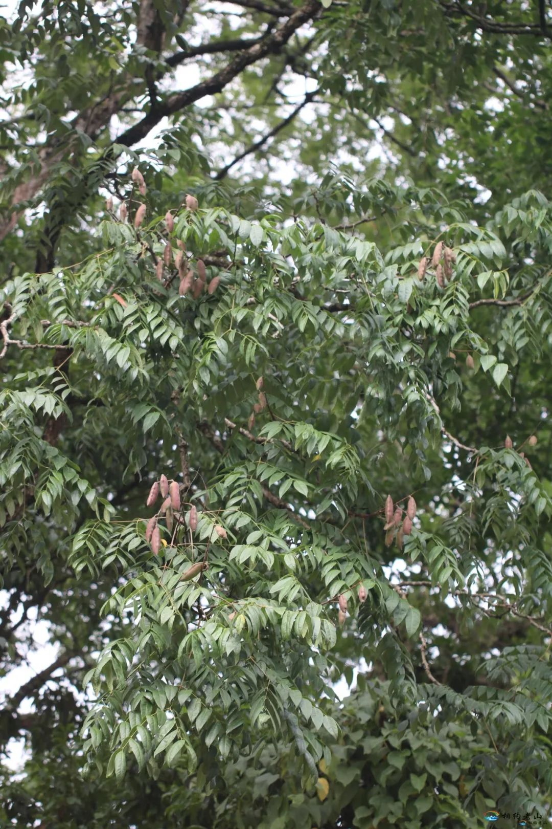 云南广播电视台(微信)