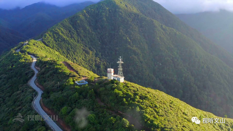 云南广播电视台(微信)