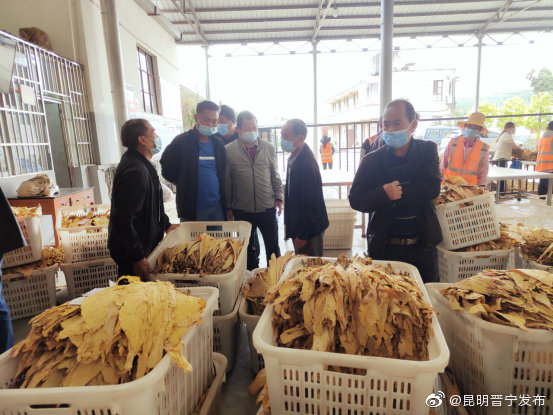 “昆明晋宁发布”微博