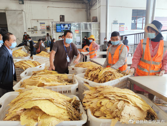 “昆明晋宁发布”微博