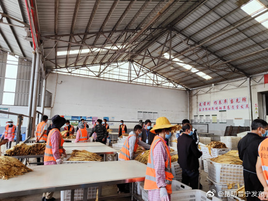 “昆明晋宁发布”微博