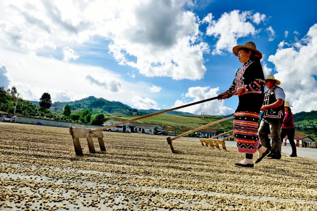 普洱日报(微信)