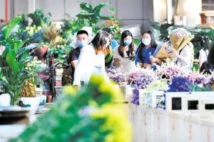 昆明发布(微信)