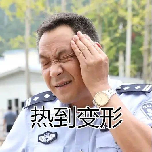 云南政法(微信)