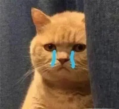 云南政法(微信)