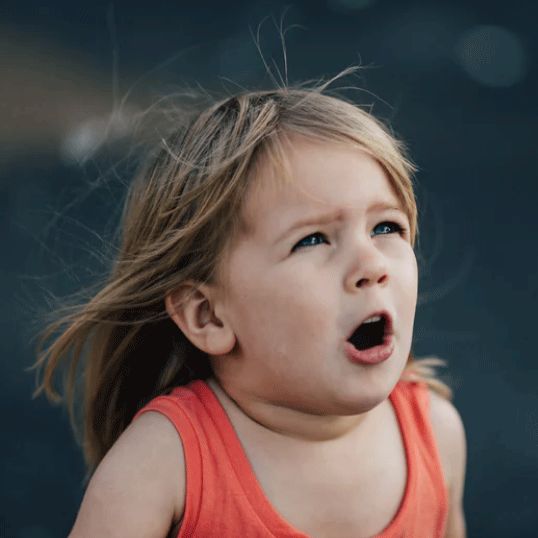 云南政法(微信)