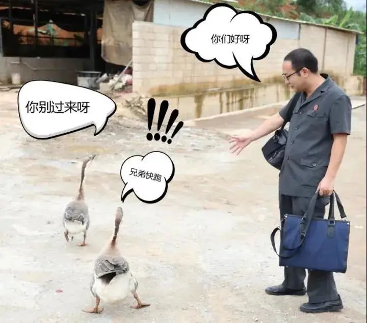 云南政法(微信)