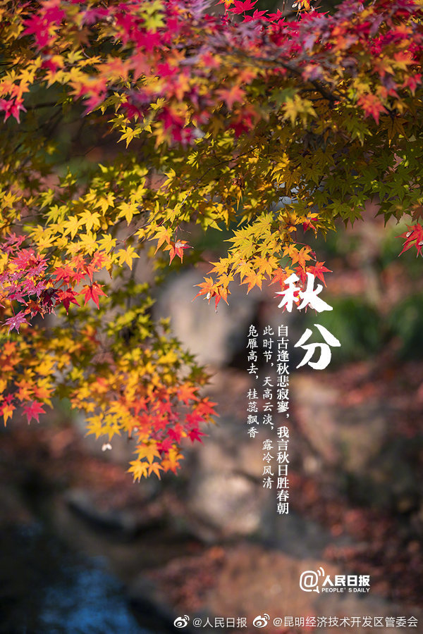 “昆明经济技术开发区管委会”微博