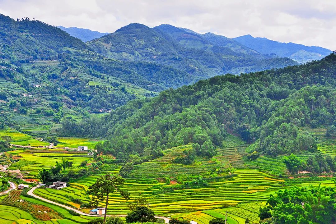 保山新闻网(微信)