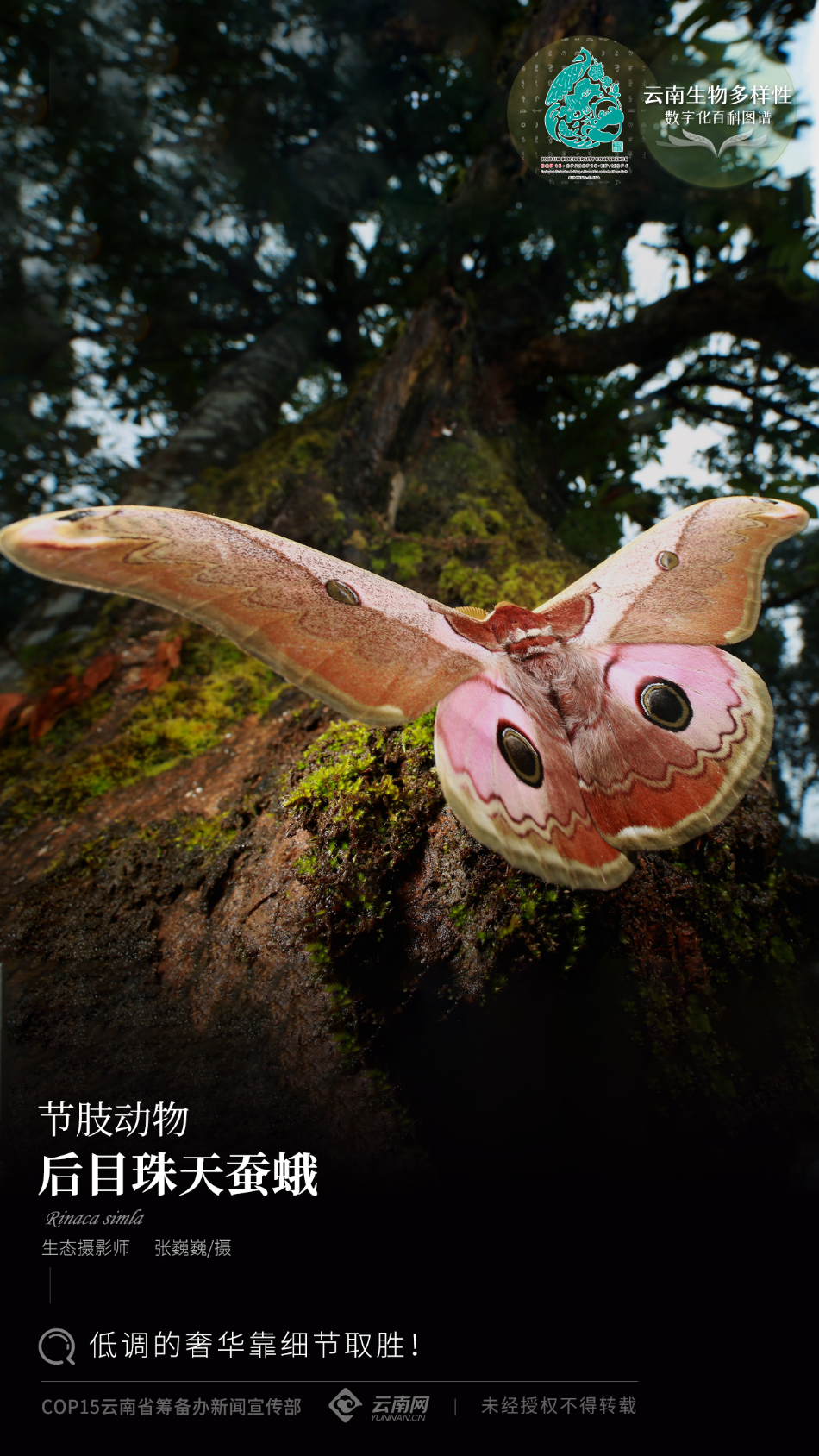 云南省人民政府网