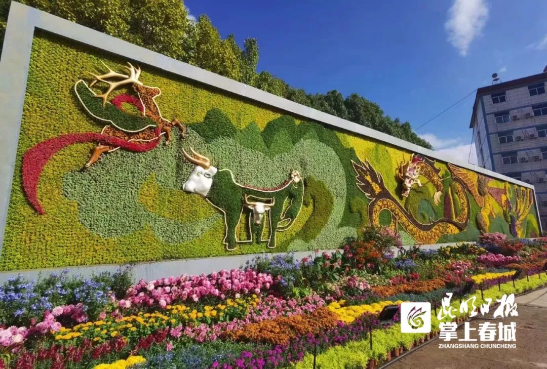 掌上春城(微信)