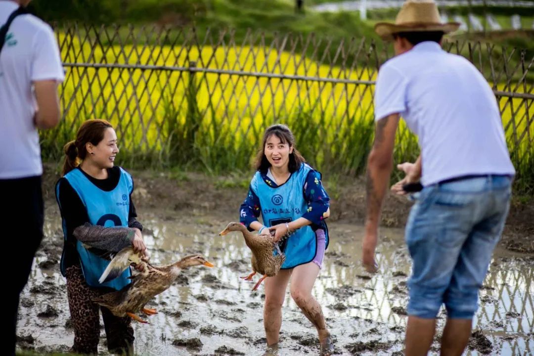 保山新闻网(微信)