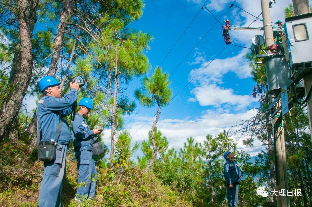 大理日报(微信)