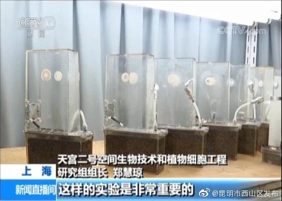 “昆明市西山区发布”微博