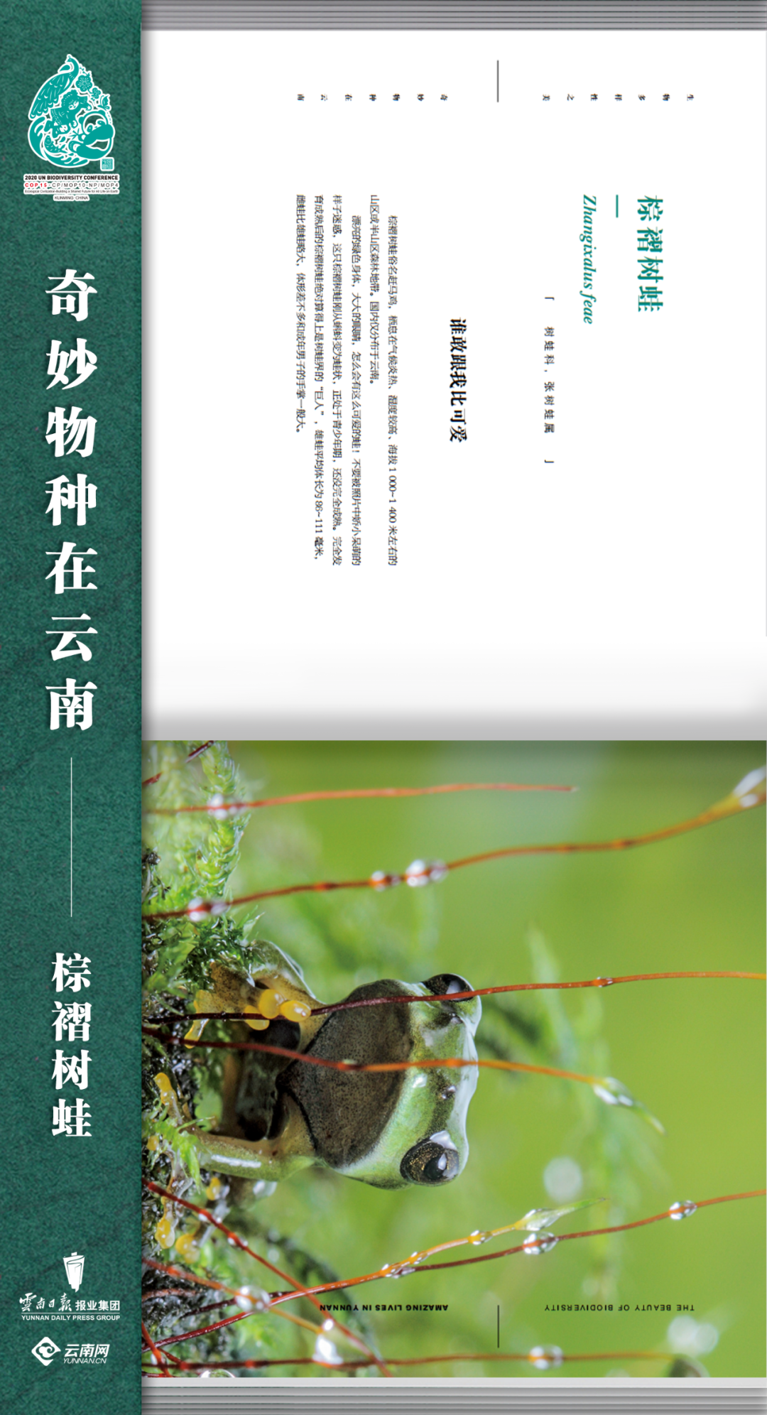 云南法制报(微信)