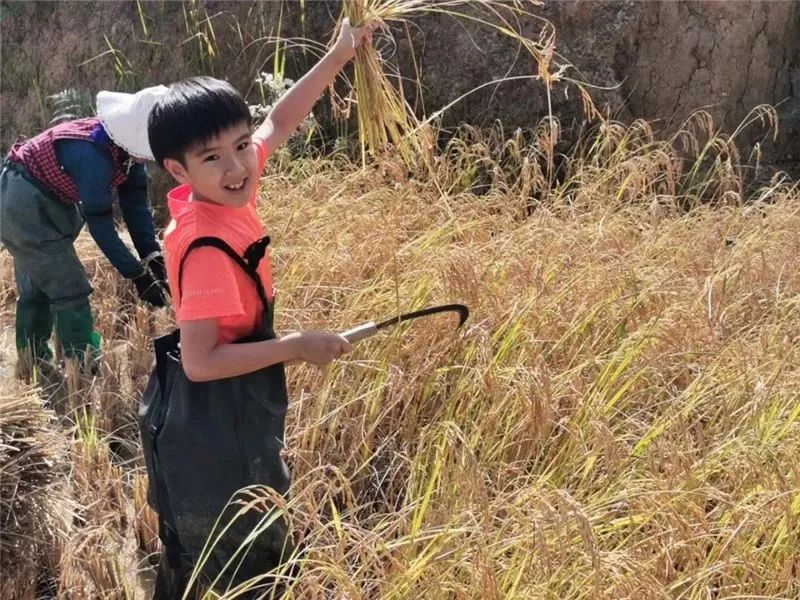 红河文旅(微信)