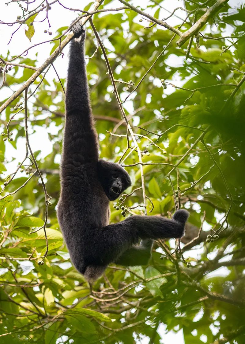 德宏团结报(微信)