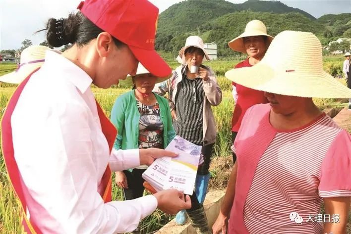 大理日报(微信)