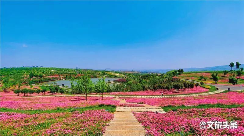 红河文旅(微信)