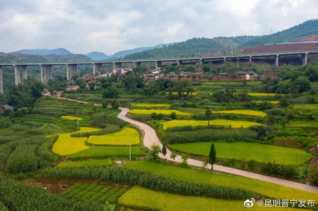高梁地村：丰收节里话丰年