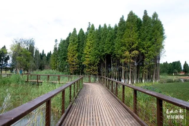 昆明发布(微信)