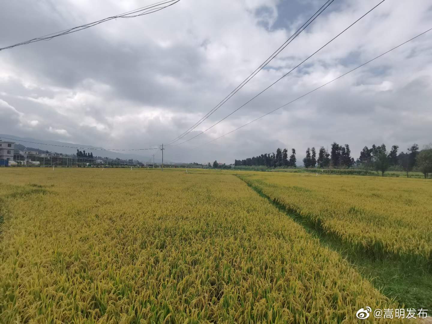 “嵩明发布”微博