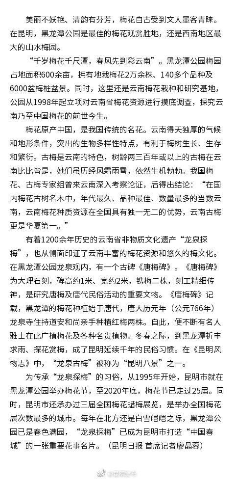 昆明黑龙潭公园拥有西南最大山水梅园