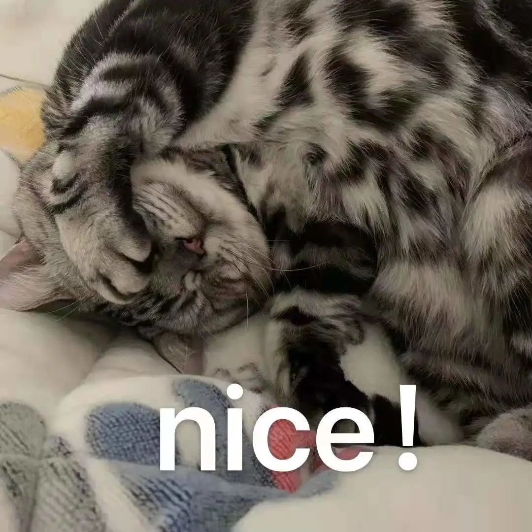 918云南交通台(微信)