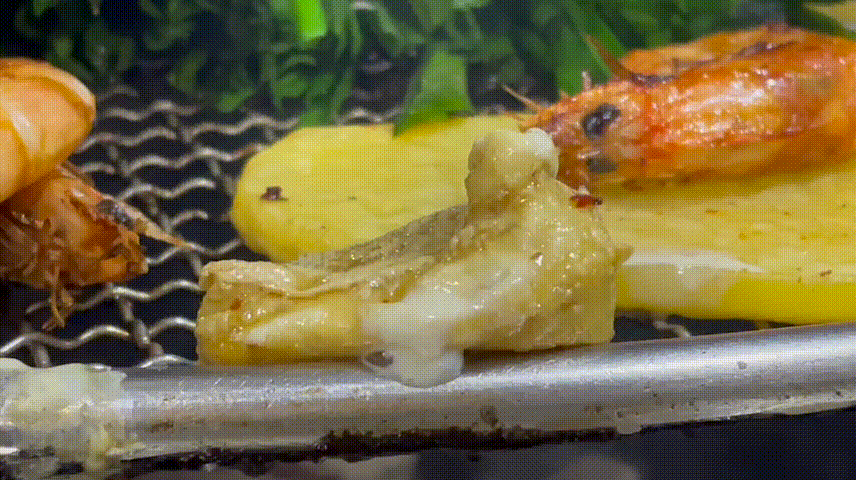 “嵩明发布”微博