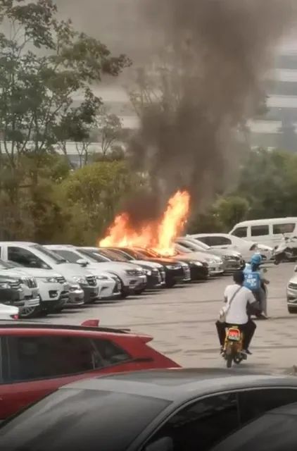 春城晚报(微信)
