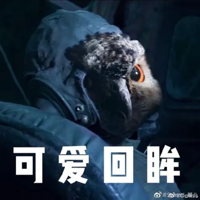 春城晚报(微信)