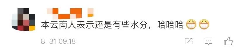 春城晚报(微信)