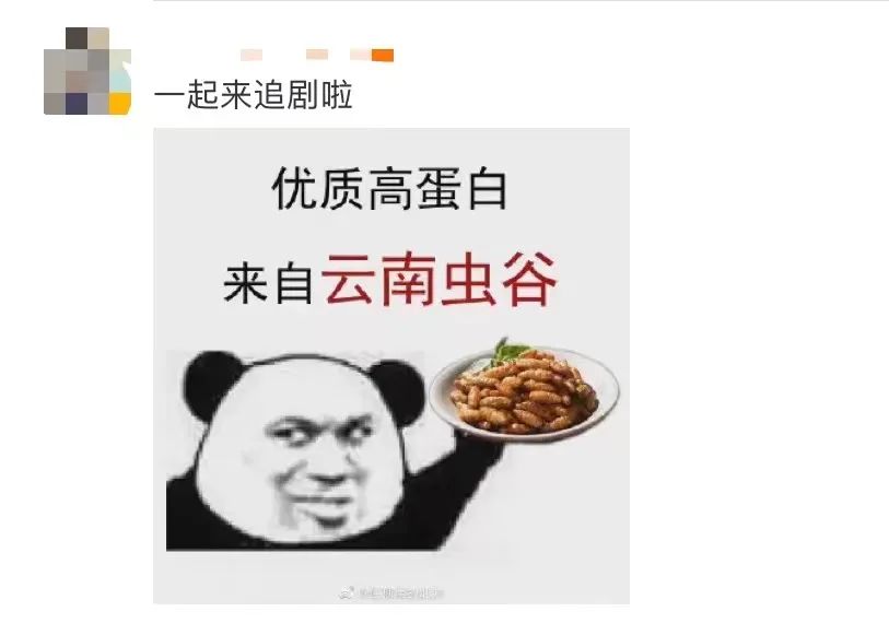春城晚报(微信)