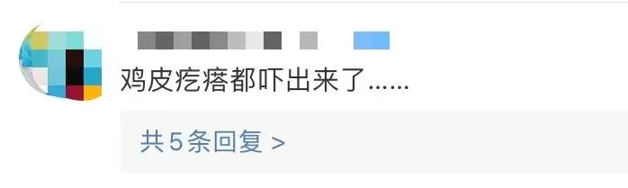 春城晚报(微信)
