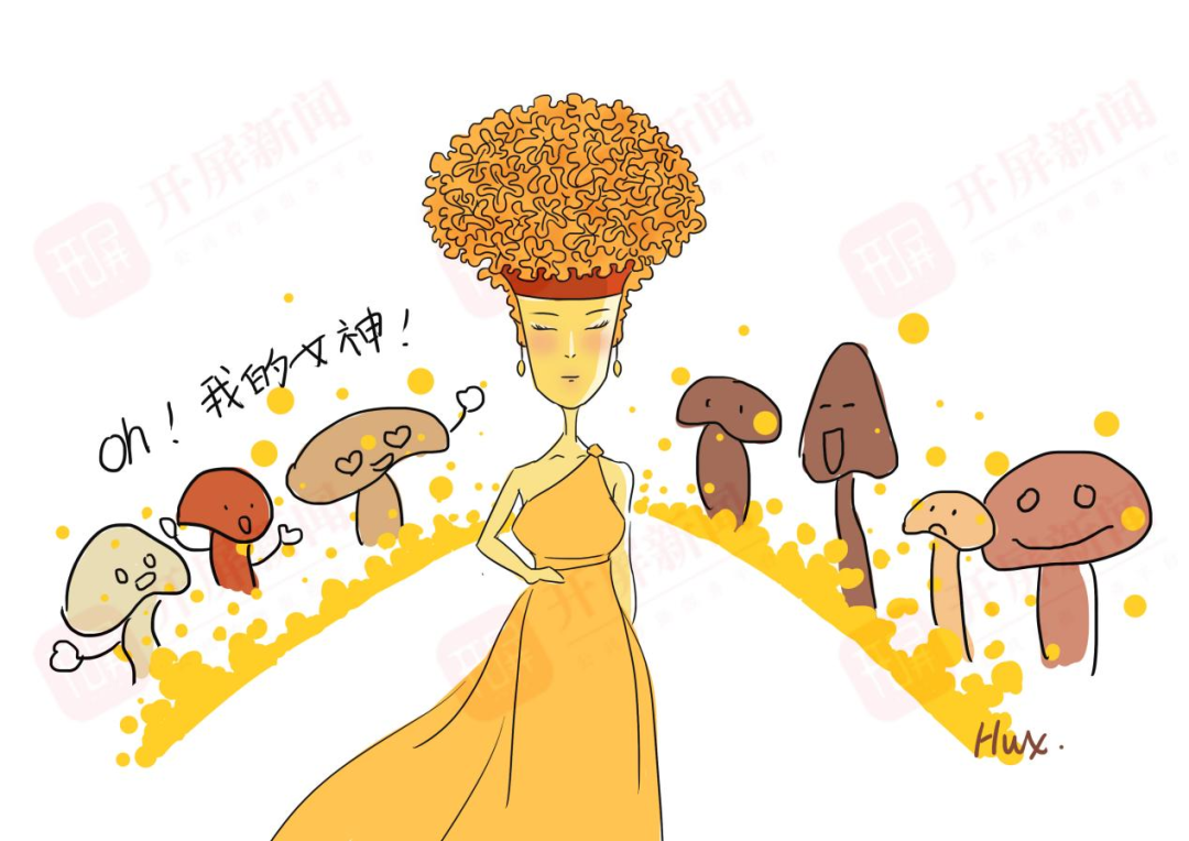 春城晚报(微信)
