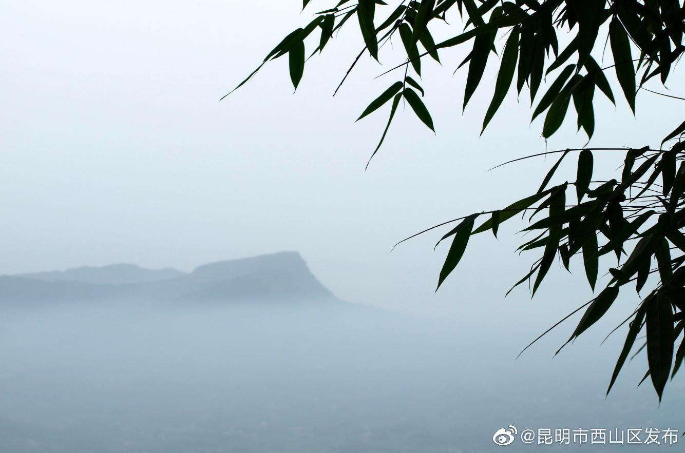 “昆明市西山区发布”微博