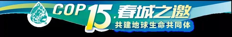 丽江日报(微信)