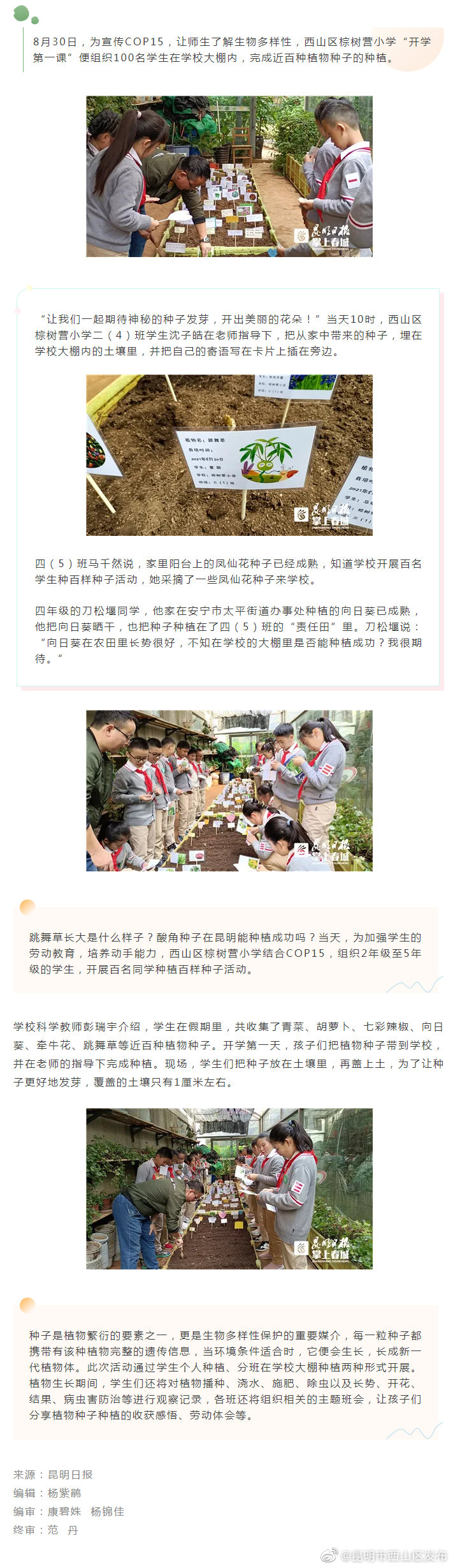 COP15 | 百名学生种植百样种子 西山区棕树营小学太会玩了