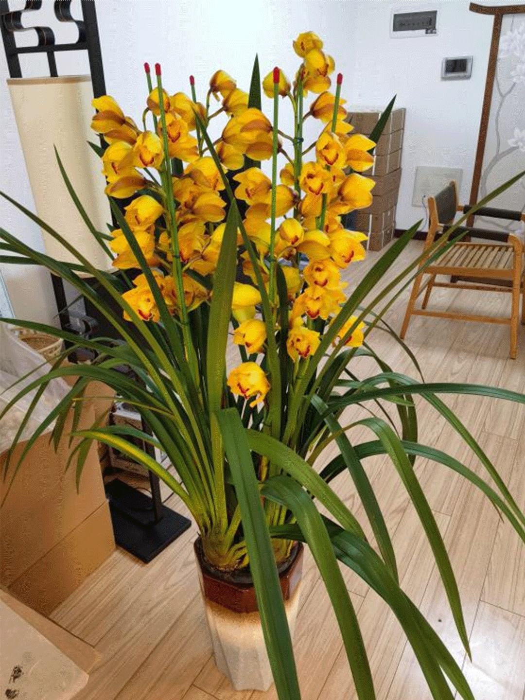 “嵩明发布”微博