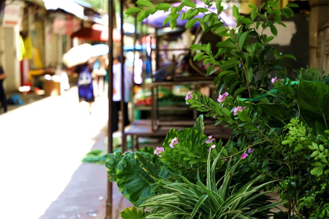 昆明铁路(微信)