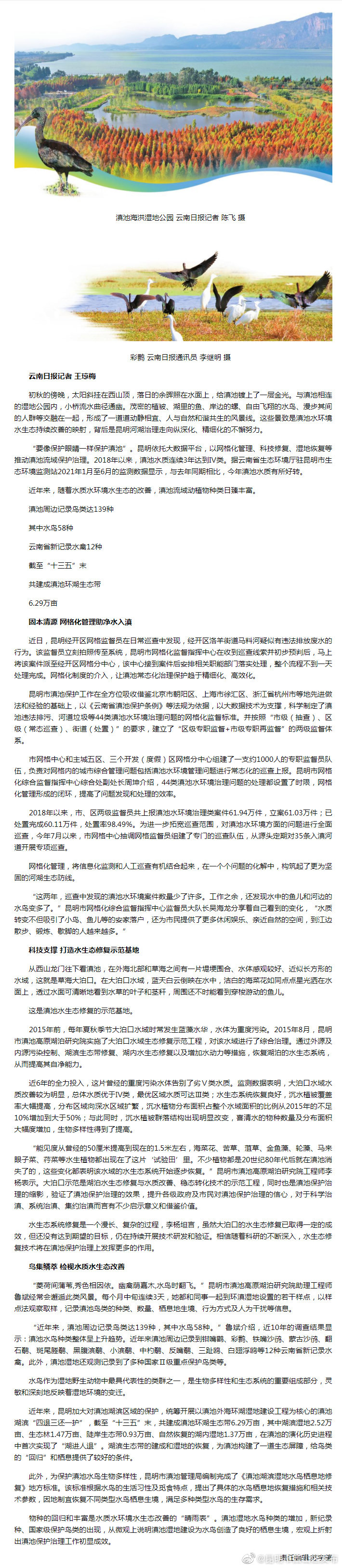 滇池:生态改善迎动植物回归