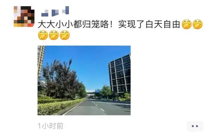 春城晚报(微信)