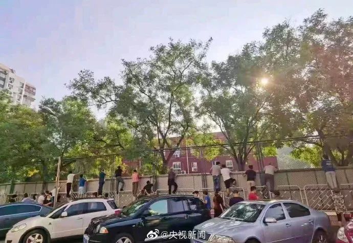 春城晚报(微信)