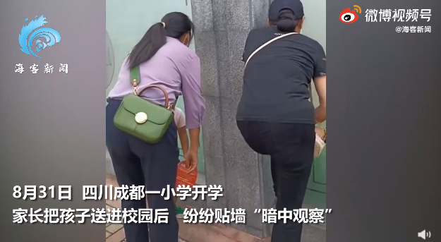春城晚报(微信)