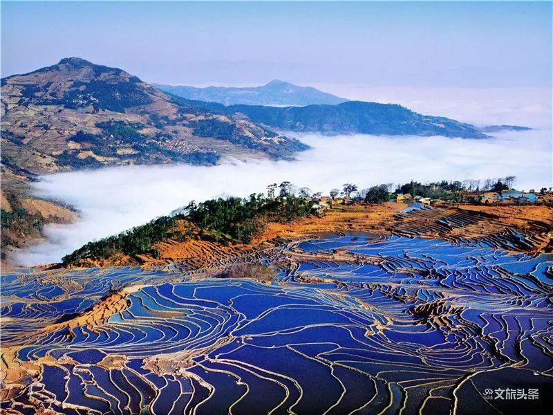 红河文旅(微信)