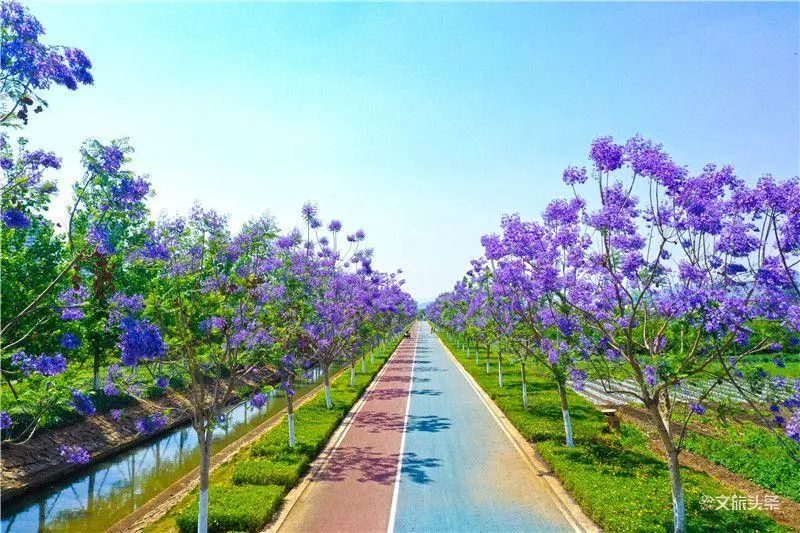红河文旅(微信)