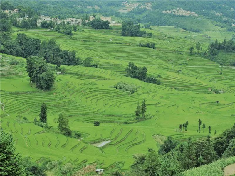 红河文旅(微信)