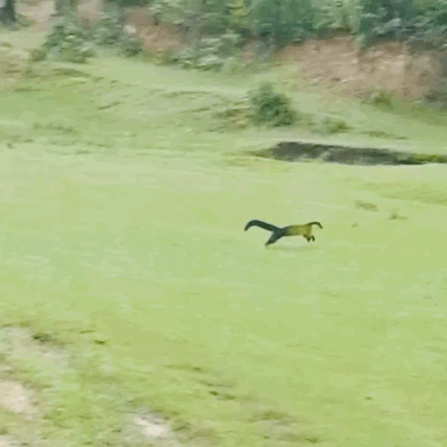 “嵩明发布”微博