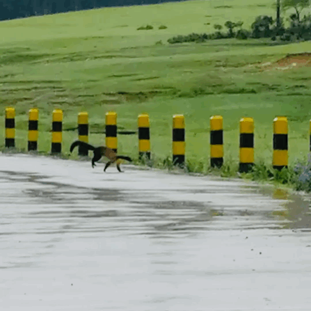 “嵩明发布”微博